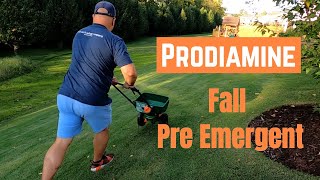 Fall Pre Emergent  Prodiamine Application and Putting Green Update [upl. by Wollis]