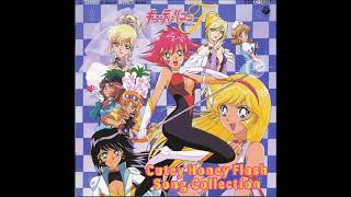 Cutie Honey Flash Song Collection  Seira Kanashimi no Monshou  The Theme of Misty Honey HQ [upl. by Fortunio308]