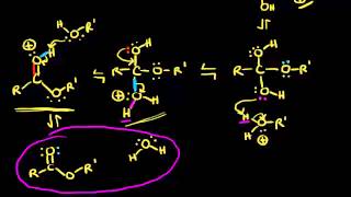 Preparation of esters via Fischer esterification  Organic chemistry  Khan Academy [upl. by Schmeltzer]