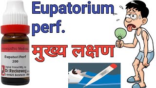 Eupatorium perfoliatum 30 ch 200ch uses in hindi Homeopathic master [upl. by Amo]