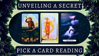 What Secret Has Been Hidden From You 🤫 Pick a Card Reading [upl. by Cirded270]