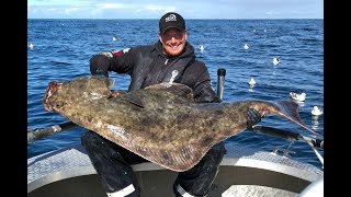 Angeln in Norwegen Seter Brygge – Die Großfischperle in Mittelnorwegen [upl. by Boardman]