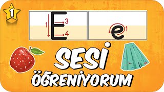 E Sesi Öğretimi 🍎 Okunuşu ve Yazılışı 🏠 1Sınıf 2024 [upl. by Barnie]