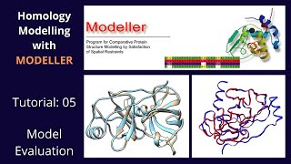 Homology Modelling  Tutorial 5 of 5  Modeller [upl. by Ahsuatan190]