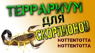 Террариум для скорпионов  HOTTENTOTTA HOTTENTOTTA [upl. by Sisxela234]