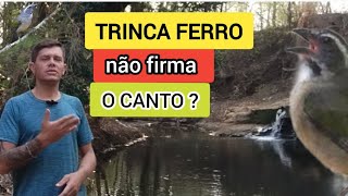 trinca ferro não quer aprontar  assista o vídeo [upl. by Ekrub]