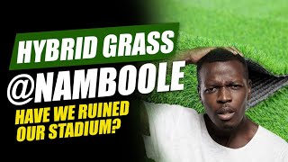 NAMBOOLE UPGRADE New Hybrid Grass the way to go [upl. by Leira]