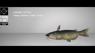 Fishing Planet  Quanchkin Lake  Unique  Channel Catfish  Float [upl. by Anelim]