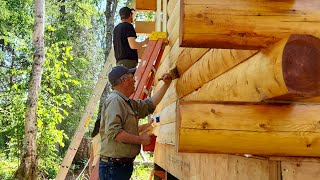 Ep 15 Help On The Homestead  Staining The Cabin amp Starting The Firewood Shed [upl. by Iror28]