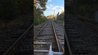 Rail biking  Kennebunkport railbike downeastmaine nature mainetravel [upl. by Nwahsek112]