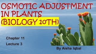 Osmotic Adjustment in Plants Biology 10th  Osmotic Adjustment in Plants اردو  हिंदी [upl. by Adnohsed]