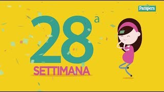 28° settimana di gravidanza [upl. by Max37]