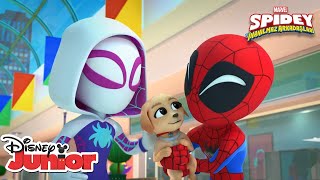 Yavru Köpek Kargaşası  Marvel Spidey ve İnanılmaz Arkadaşları  Disney Türkiye [upl. by Acinok]