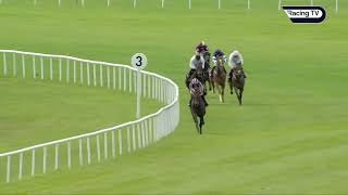 Ballydoyles Grosvenor Square Sensational in the St Leger Trial [upl. by Nodaj]