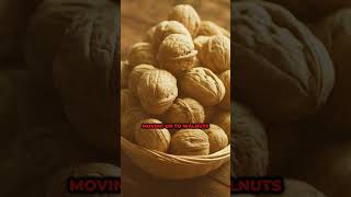 8 HEALTHIEST Nuts With No Carbs amp No Sugar youtubeshorts shorts [upl. by Rellek]