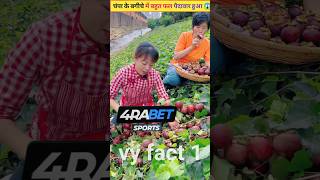 चंपा के बागान में बहुत फल पैदावार हुआ 😱 part 7 mini today for kids shorts shortsfeed facts [upl. by Robaina]