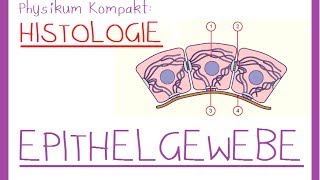 Histologie1 EPITHELGEWEBE [upl. by Jammie615]