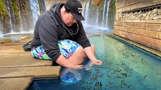 Catching Wild Aquarium Fish at a German Hot Spring [upl. by Suirrad357]