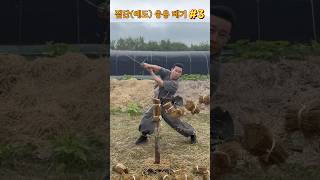 진검베기  짚단예도 응용 베기 3 straw swordsmanship cuttingskills martialarts korea sword [upl. by Fisk]