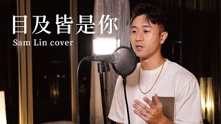 《目及皆是你》 小藍背心 【Sam Lin Cover】『我戒不掉你 像戒不了呼吸。』 [upl. by Rutra648]