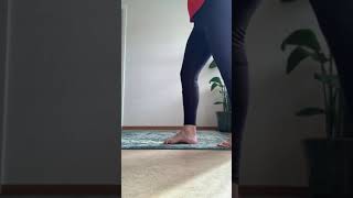 Standing Foot Supination and Pronation [upl. by Nyltac]