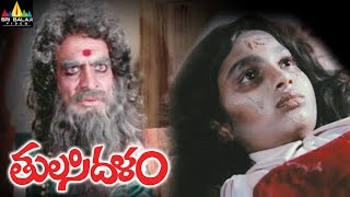 Rangam 2 Telugu Full Movie  Jiiva Thulasi Nair Ravi K Chandran SriBalajiMovies [upl. by Aissatsana]