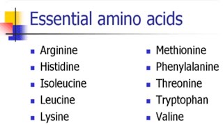 Essential Amino AcidsBiomolecules  NCERT Tricks [upl. by Roze237]