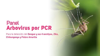 Panel Arbovirus por PCR [upl. by Genesia]