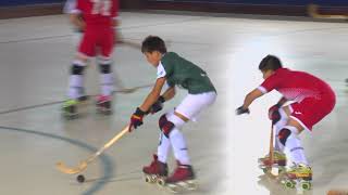 RESUMEN CAMPEONATO SECTOR SUR HOCKEY PATINES INFANTIL 2021 SEVILLA [upl. by Demaria]