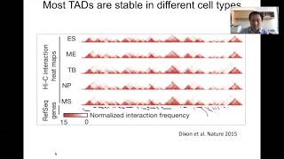 STAT115 Chapter 153 Topologically Associating Domains [upl. by Niwdog263]