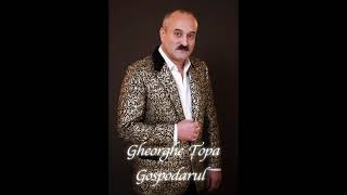 Gheorghe Țopa  Gospodarul Official Audio [upl. by Adniralc190]