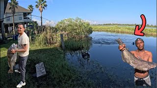 Giant Brackish Water Fishing fishing mancing [upl. by Nayve74]