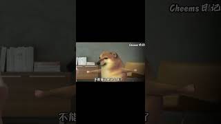 能不能不要离开我！cheems funny memes [upl. by Ellerred156]