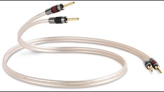 QED XT40 Speaker Cable [upl. by Ayahc652]