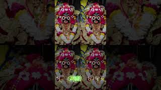 Kalia ra 🙏🙏🙏 Jagannath bhajan status youtubeshorts jagannath ysdillip odia [upl. by Waylon473]