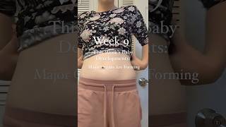 9 weeks pregnant baby development [upl. by Randi]