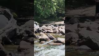 Clear Mountain Stream Cades Cove Smoky Mountains Tennessee [upl. by Elyl]