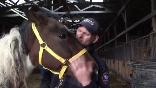 Neglected Horses Rescued in Tennessee [upl. by Buna]