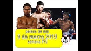 peleas de box 9 de marzoSEMANA10 [upl. by Atinat]