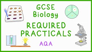 All BIOLOGY Required Practicals  GCSE Science AQA [upl. by Cho]