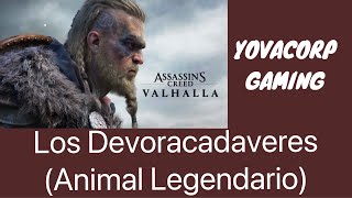 Assassins Creed Valhalla  Los Devoracadaveres Animal Legendario GUIA [upl. by Hutchison651]