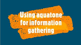 How To Use Aquatone For Information Gathering About A Target [upl. by Diena]