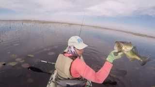 Bass Fishing Opening Day for Lacassine [upl. by Akemit]