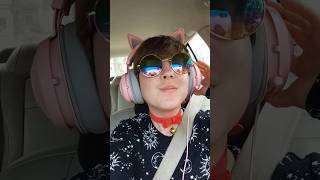 some happy cat vocalizations ≽⩊≼ thank you for 15 subs therian alterhuman cat catsounds [upl. by Eizus689]