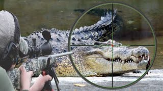 Hunting the African Nile crocodile with snipers Part Three [upl. by Maxwell207]