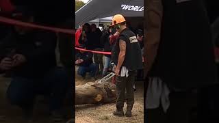 Chainsaw Kickback with 500i Stihl Chainsaw shorts chainsaw firewood [upl. by Cristy]