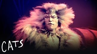 The Rum Tum Tugger  Cats the Musical [upl. by Eward]