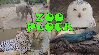 ZOO Płock [upl. by Mikahs714]