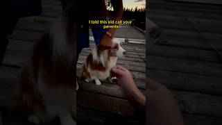 Dockside hook removal 🪝🐶🎣 fishingvideo [upl. by Nimzay]