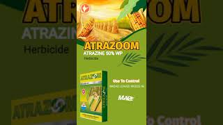 ATRAZOOM  Atrazine 50 WP Herbicide [upl. by Siuluj641]